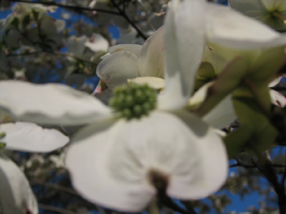 RICHARDCAM (3)